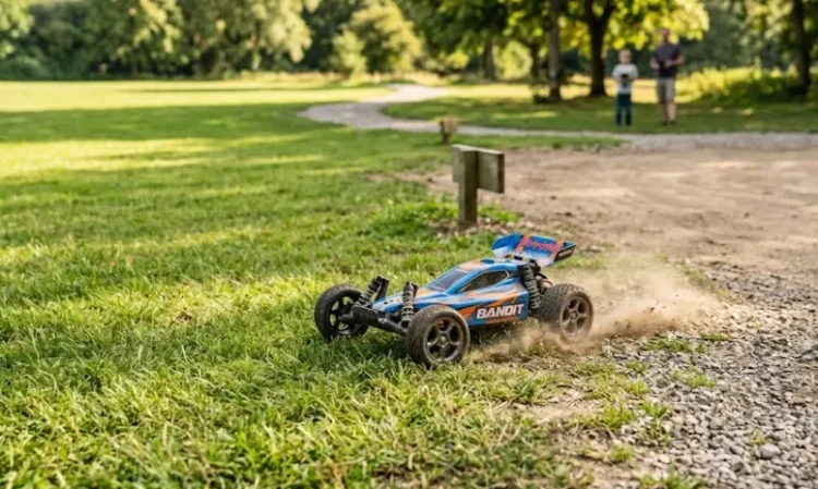 Where Beginners Should Actually Start