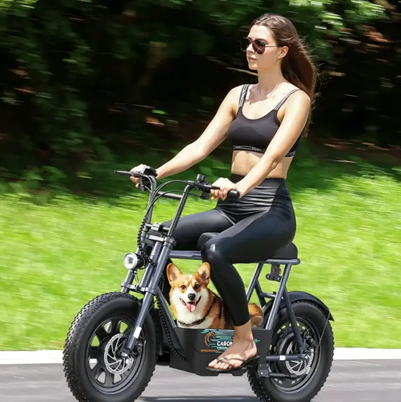 Electric Scooter Safety